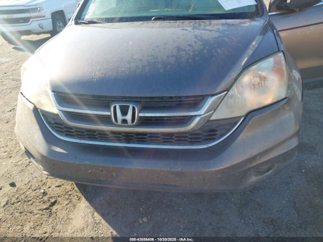 Honda CR-V Ex Image 9