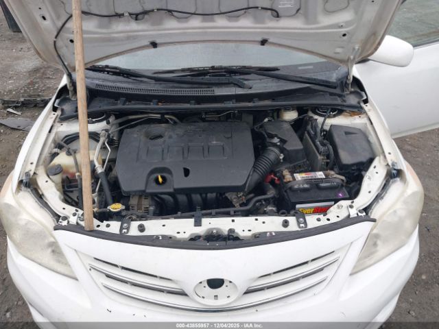 Toyota Corolla Le Image 3