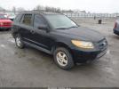 Hyundai SANTA FE Gls Image 1