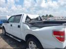 Ford F-150 Xlt Image 3