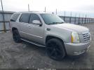 Cadillac Escalade Standard Image 1