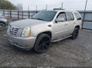 Cadillac Escalade Standard Image 6