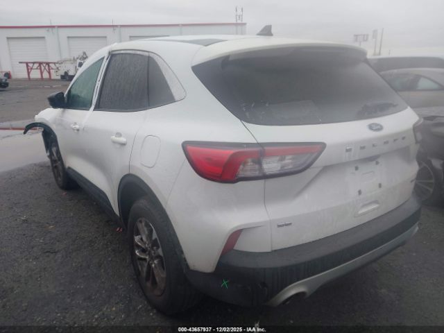 Ford Escape Se Image 2