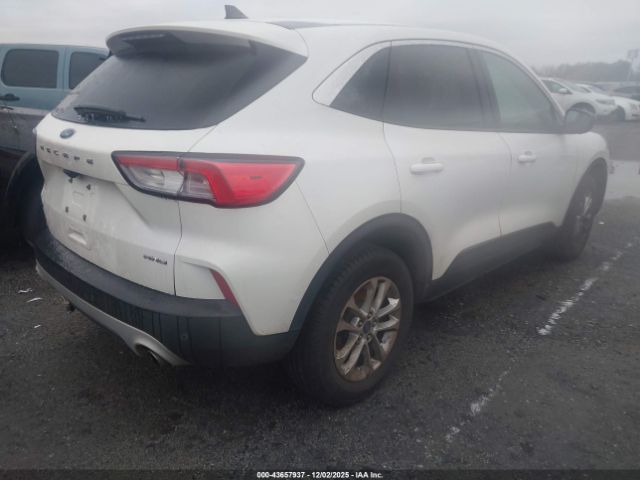 Ford Escape Se Image 9