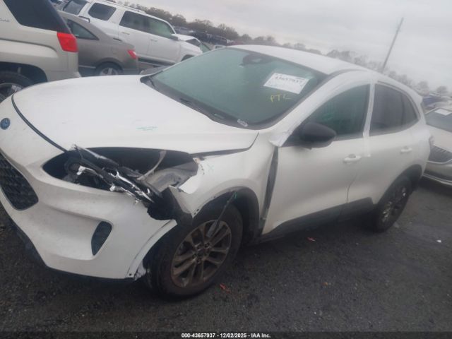 Ford Escape Se Image 11