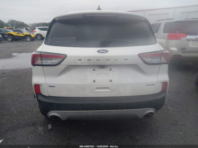 Ford Escape Se Image 14