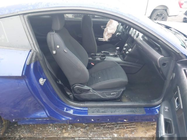 Ford Mustang Ecoboost Image 2