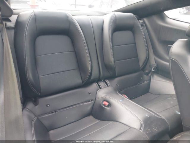 Ford Mustang Ecoboost Premium Fastback Image 11