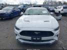Ford Mustang Ecoboost Premium Fastback Image 13