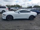 Ford Mustang Ecoboost Premium Fastback Image 17