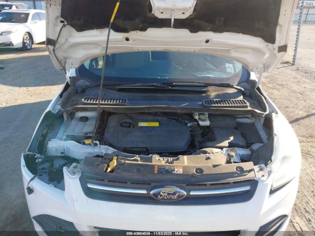 Ford Escape Se Image 8