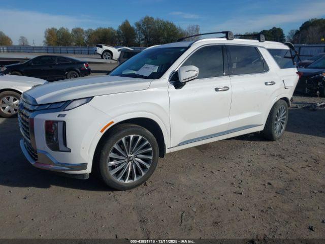 Hyundai PALISADE Calligraphy Image 18