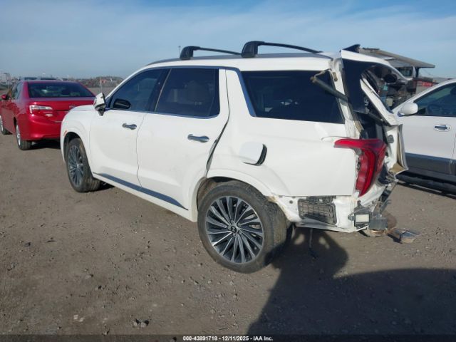 Hyundai PALISADE Calligraphy Image 5