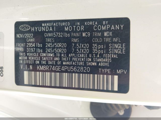 Hyundai PALISADE Calligraphy Image 3