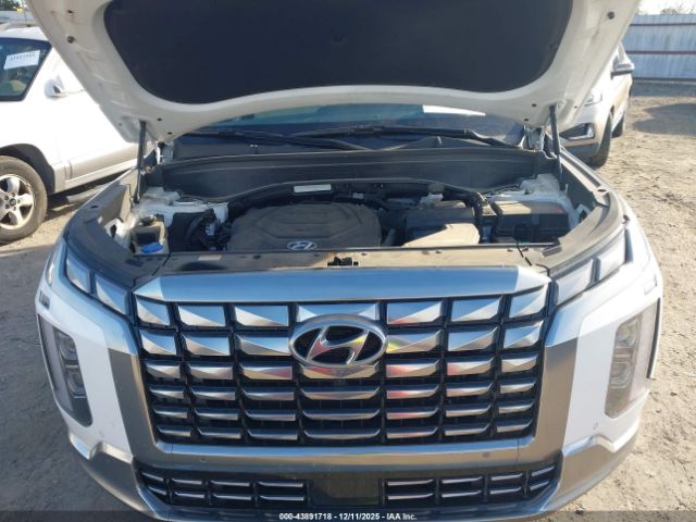 Hyundai PALISADE Calligraphy Image 16