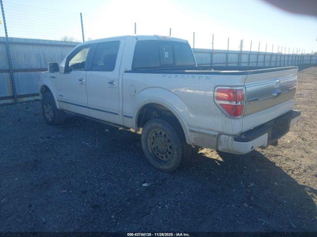 Ford F-150 Platinum Image 3