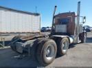 Peterbilt 379 Image 9
