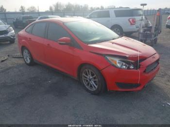  Salvage Ford Focus