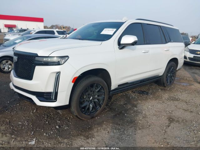 Cadillac Escalade 4wd Sport Platinum Image 2