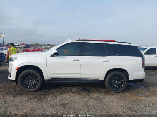 Cadillac Escalade 4wd Sport Platinum Image 11