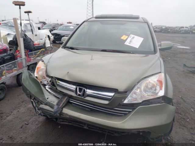 Honda CR-V Ex-l Image 5