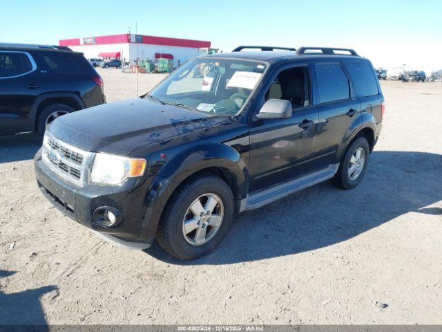 Ford Escape Xlt Image 2