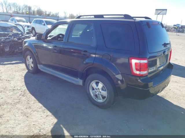 Ford Escape Xlt Image 4