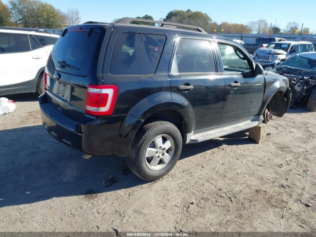 Ford Escape Xlt Image 6