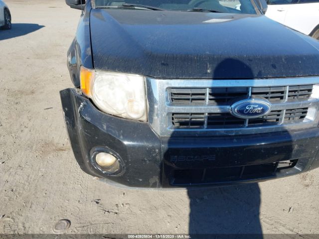 Ford Escape Xlt Image 11